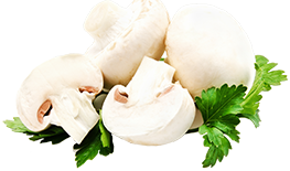 シャンピニオン