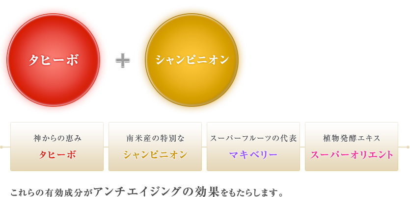 これらの有効成分がアンチエイジングの効果をもたらします。