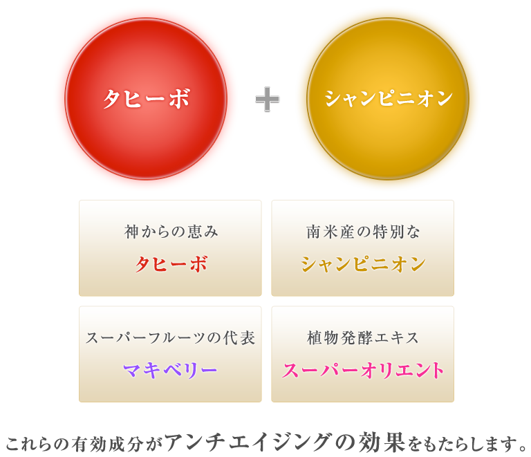 これらの有効成分がアンチエイジングの効果をもたらします。