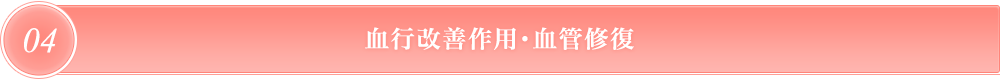 血行改善作用・血管修復
