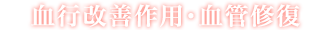 血行改善作用・血管修復