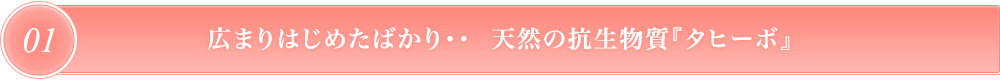 広まりはじめたばかり・・  天然の抗生物質『タヒーボ』