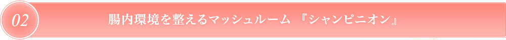 腸内環境を整えるマッシュルーム  『シャンピニオン』