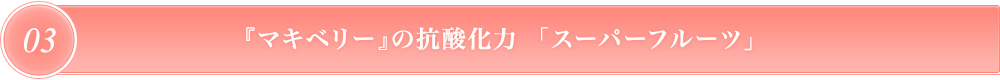 『マキベリー』の抗酸化力  「スーパーフルーツ」